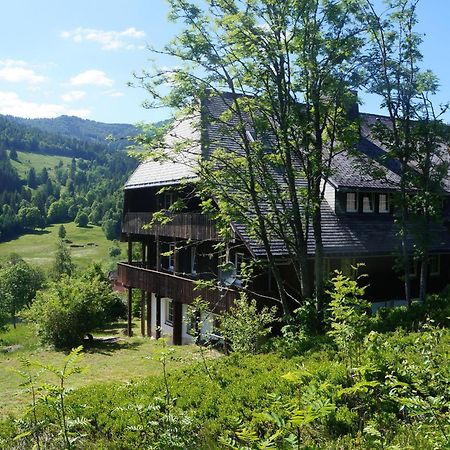 Familien- und Sportappartements Wetzel Menzenschwand-Hinterdorf Exterior foto