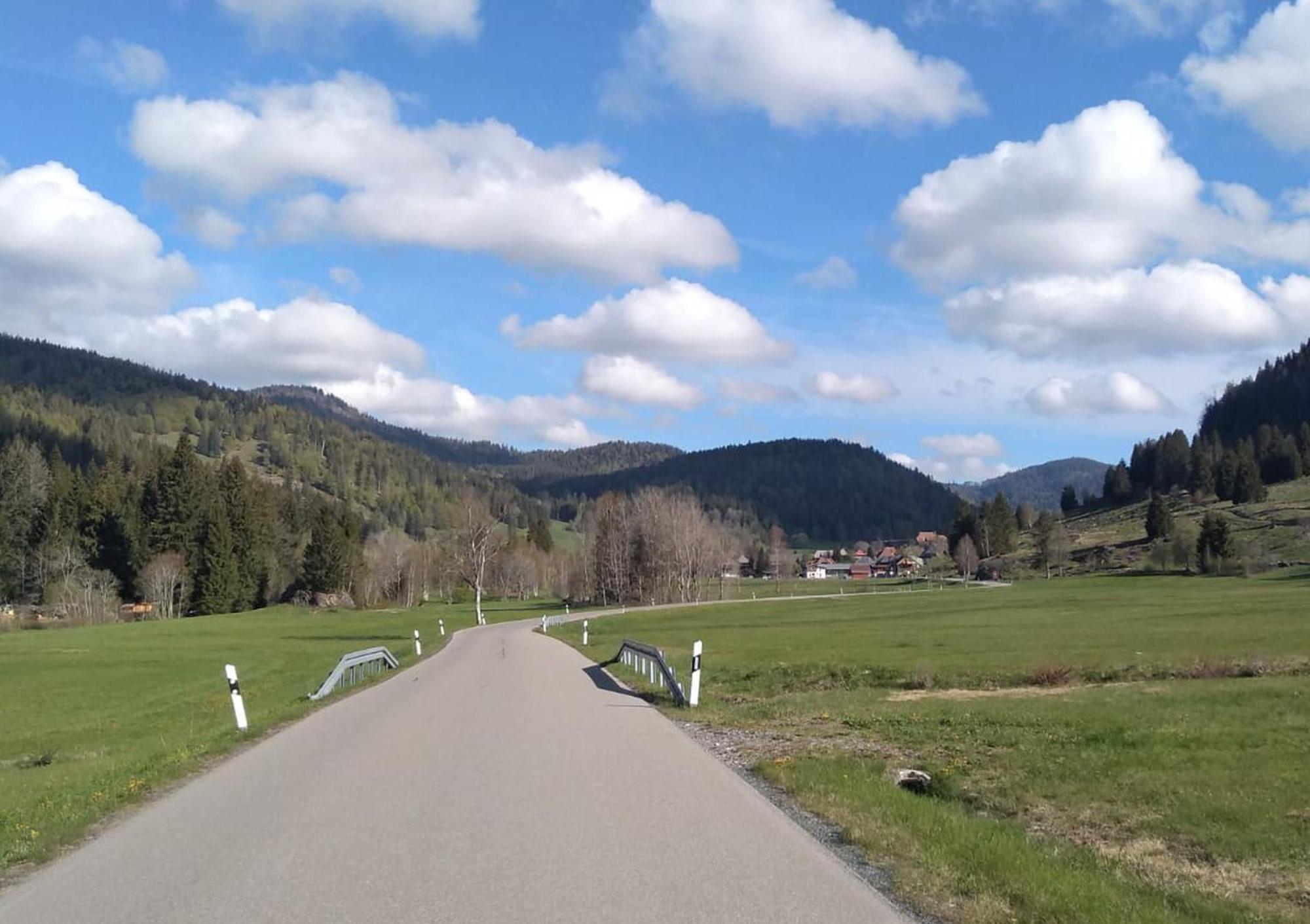 Familien- und Sportappartements Wetzel Menzenschwand-Hinterdorf Exterior foto