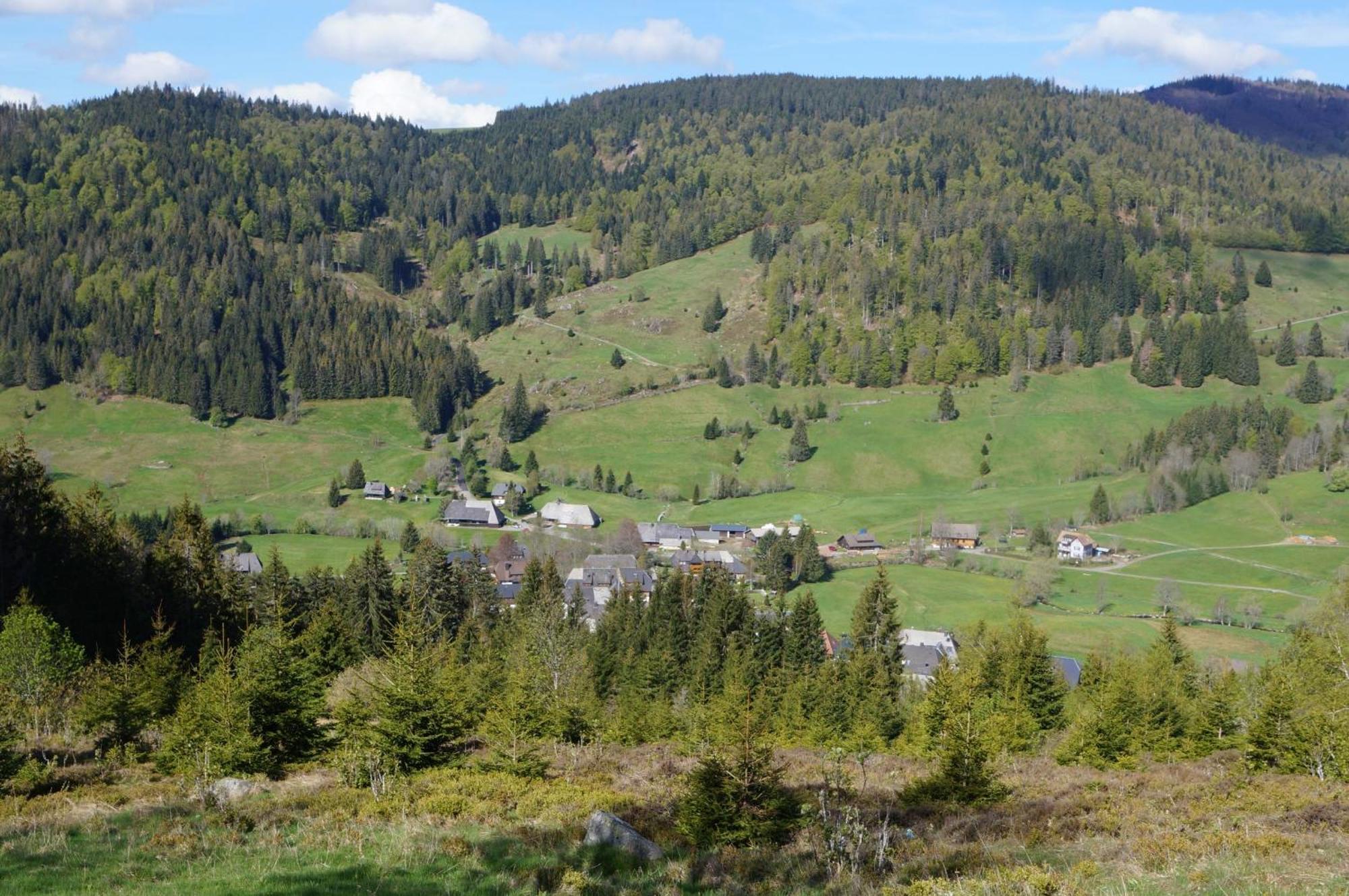 Familien- und Sportappartements Wetzel Menzenschwand-Hinterdorf Exterior foto
