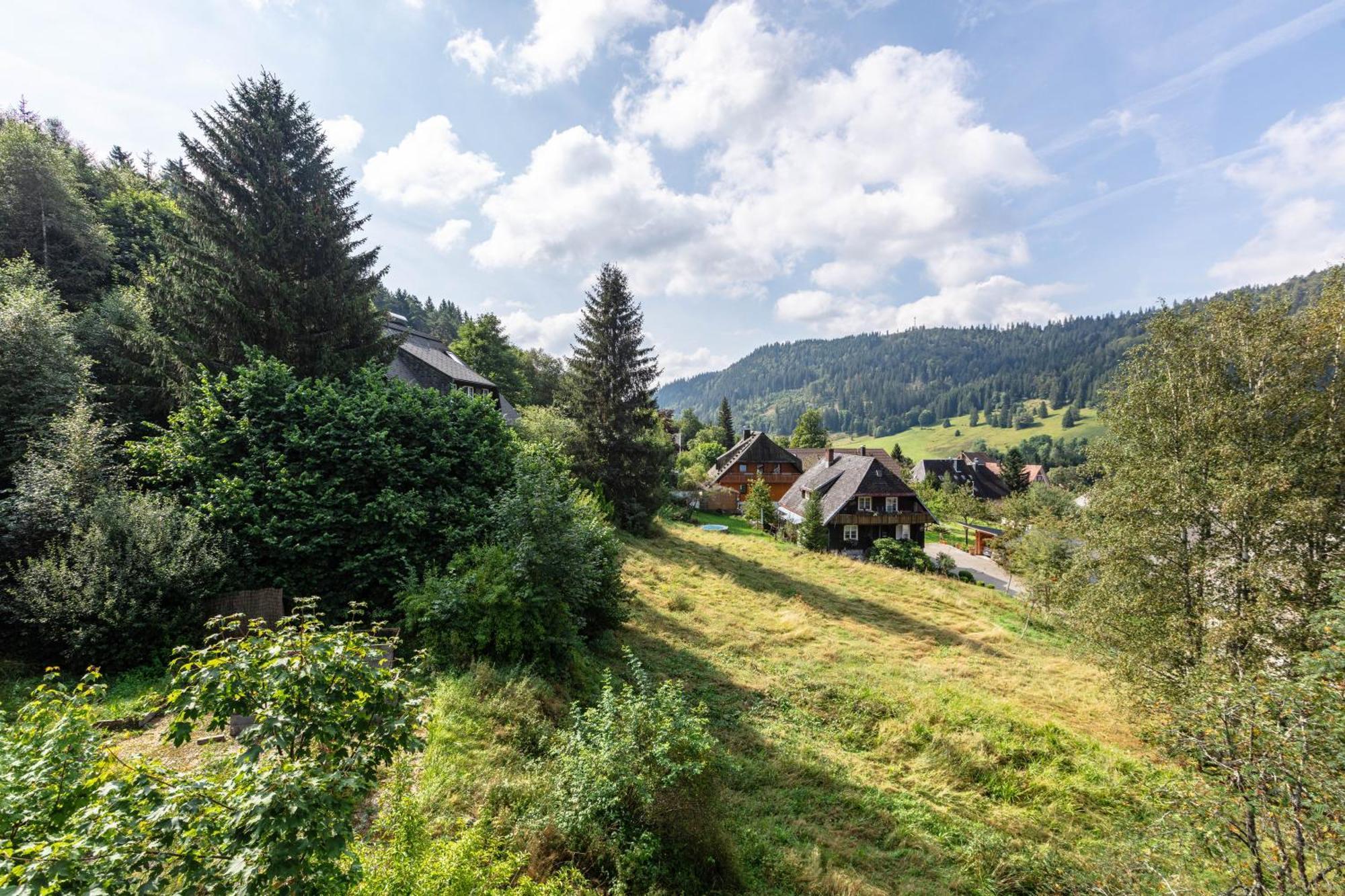 Familien- und Sportappartements Wetzel Menzenschwand-Hinterdorf Exterior foto
